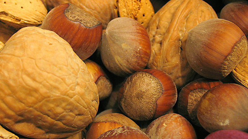 Allergy-friendly Recipes